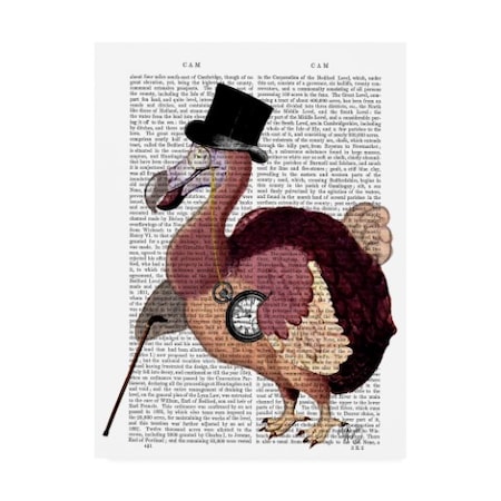 Fab Funky 'Dapper Dodo' Canvas Art,18x24